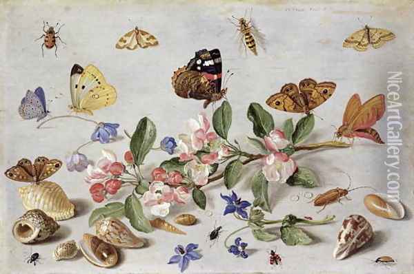 Insects 2 Oil Painting - Jan van Kessel
