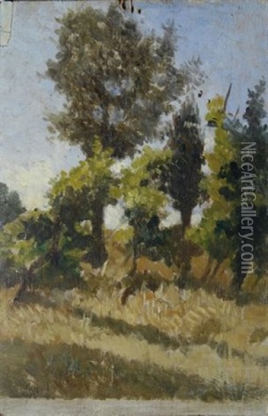 Alberi E Grano Oil Painting - Giovanni Fattori