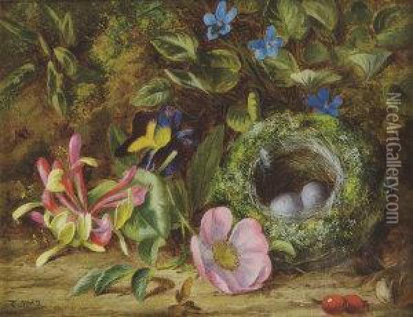 A Naturalistic Still Life With Birds Nest And Wildflowers Oil Painting - Thomas Collins