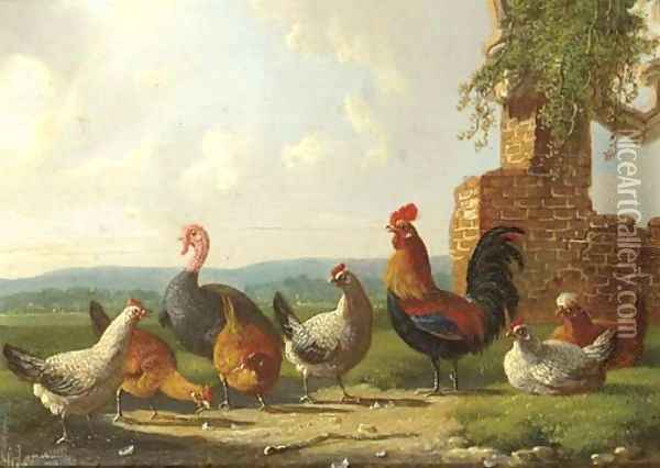 A rooster, chickens and a turkey by a ruin Oil Painting - Albertus Verhoesen