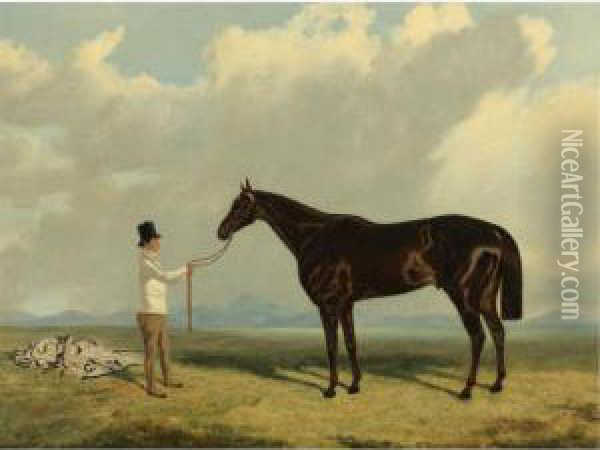 Retriever, A Liver Chestnut Being Held By A Groom Oil Painting - John Wray Snow