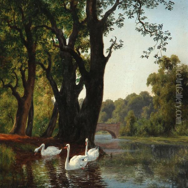 Summer Day With Swans At A Stream Shore Oil Painting - Axel Thorsen Schovelin