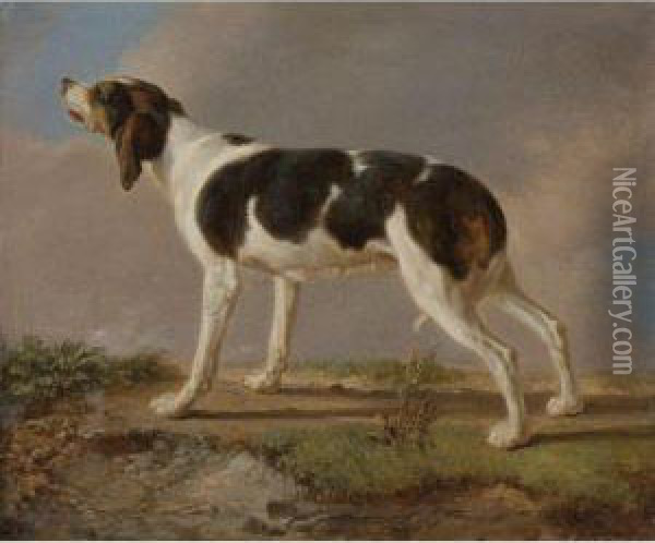 A Hunting Dog Oil Painting - Jacques Laurent Agasse