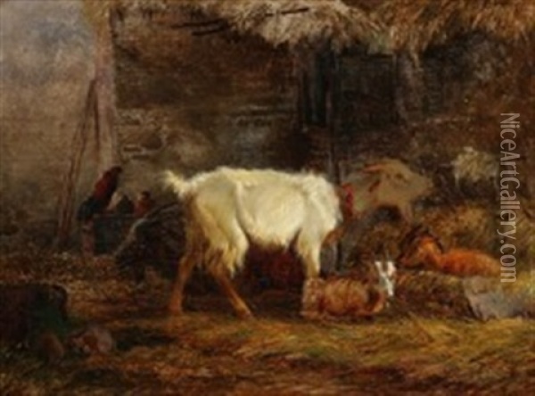 Stable Interior With Goats, Rabbits And Chickens Oil Painting - Vilhelm (Joh. V.) Zillen
