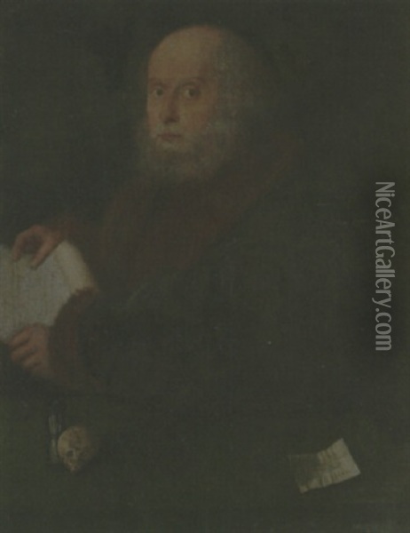 Portrait Of An Old Man From Nuremberg Oil Painting - Giovanni Cariani