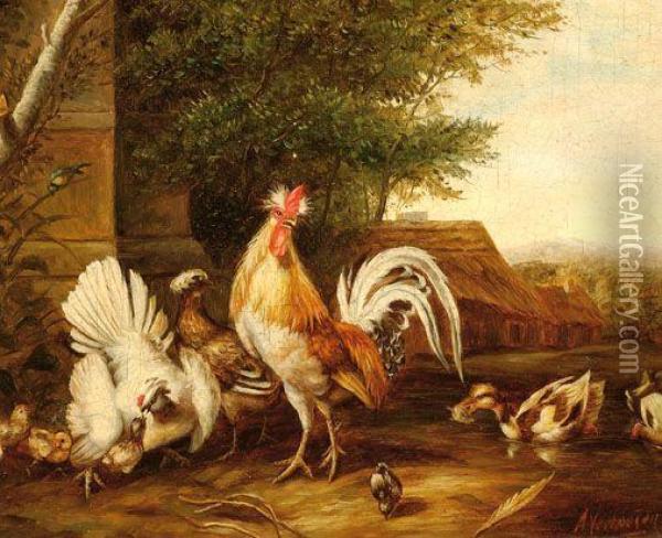 Poultry With Chicks Oil Painting - Albertus Verhoesen