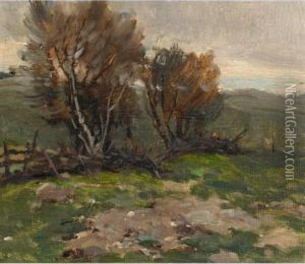 Countryside Oil Painting - Arthur Dominique Rosaire