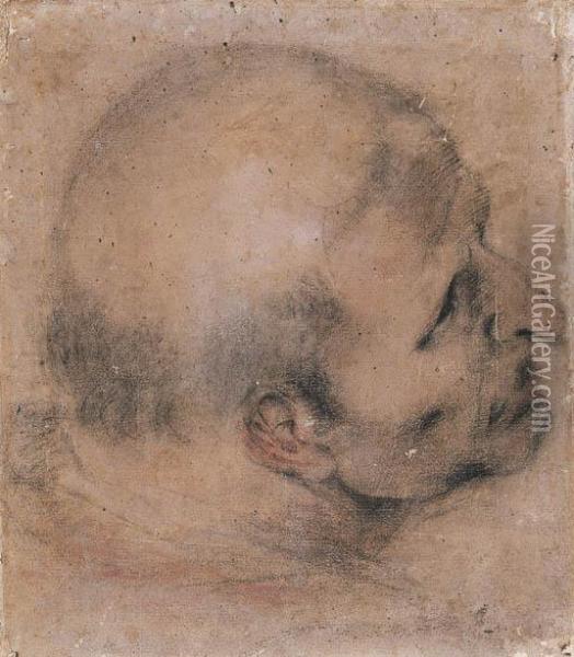 Head Of A Man Looking Up To The Right Oil Painting - Martino Cignaroli