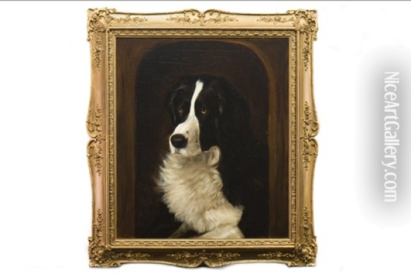 A Collie At The Door Of His Kennel Oil Painting - John Emms