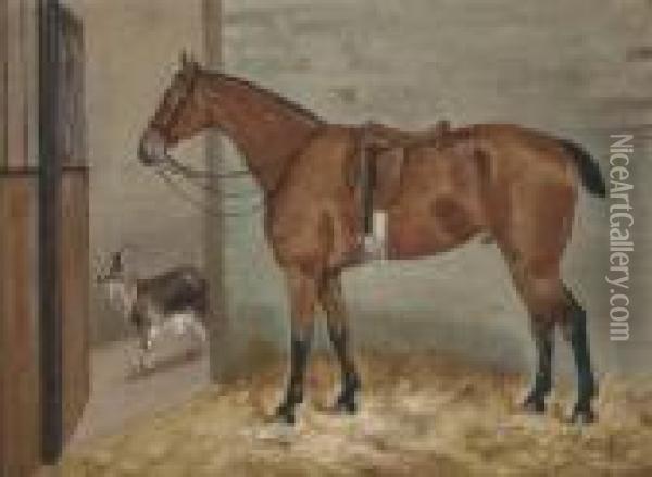 A Saddled Bay Hunter In A Stable With A Goat Oil Painting - George Paice
