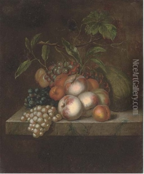 Peaches, Grapes, Plums And A Melon On A Marble Ledge Oil Painting - Herman van der Myn