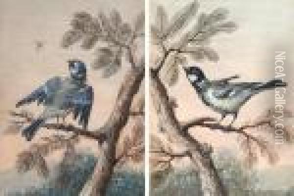 Oiseaux Sur Une Branche Oil Painting - Christophe-Ludwig Agricola