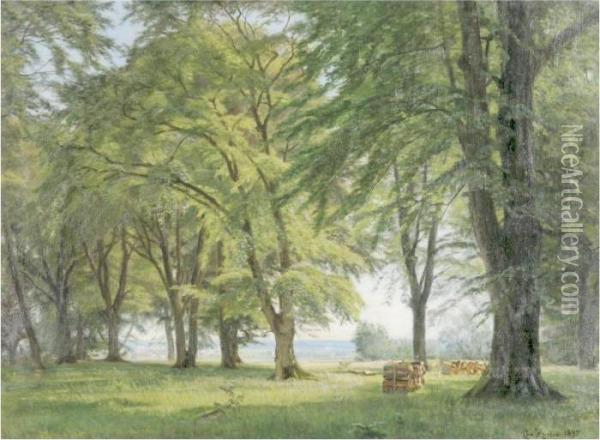 Sunlit Forest Oil Painting - Christian Zacho