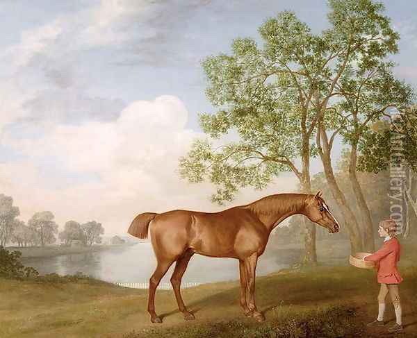 Pumpkin with a Stable-Lad, 1774 Oil Painting - George Stubbs