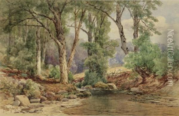 A Rocky Creek In A Summer Landscape Oil Painting - William Newton Bartholomew