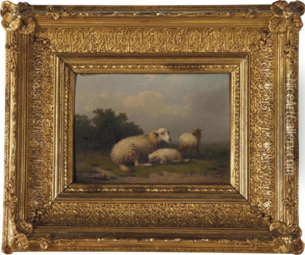 A Sheep And Lambs Resting In A Pasture Oil Painting - Eugene Joseph Verboeckhoven