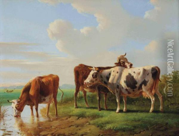 Cows Drinking Water And Resting In A Meadow Oil Painting - Albertus Verhoesen