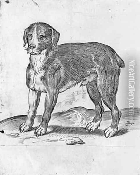 Dog Oil Painting - Agostino Carracci