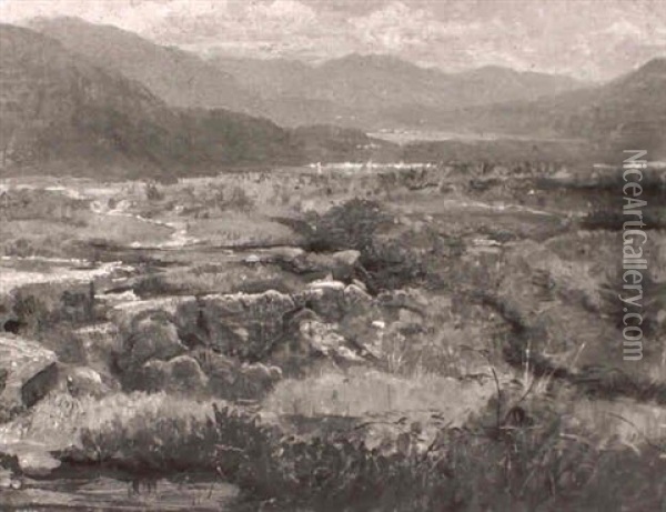 Marsh Country Near Lake, In Switzerland Oil Painting - William Stanley Haseltine