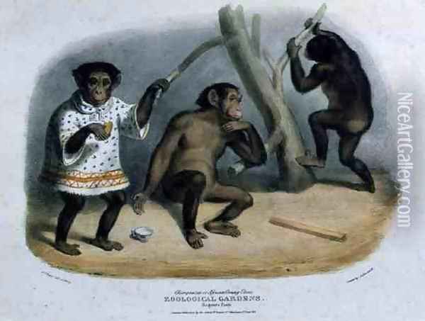 Chimpanzee or African Orang-Utan at the Zoological Gardens, Regents Park, engraved and pub. by the artist, printed by Charles Hullmandel 1789-1850, 1835 Oil Painting - George the Elder Scharf