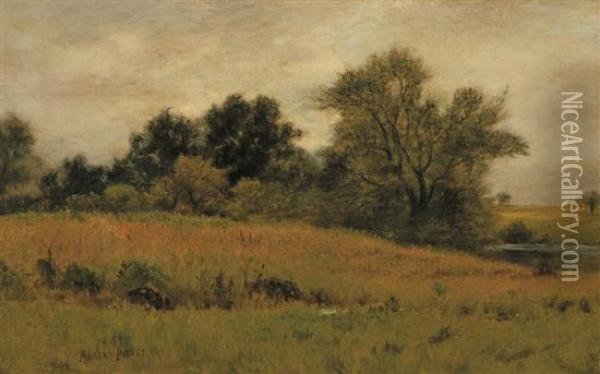 Summer Landscape Oil Painting - Albert B. Insley