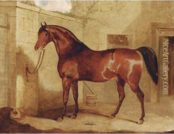 A Bay Stallion Outside A Stable Oil Painting - Gourlay Steell