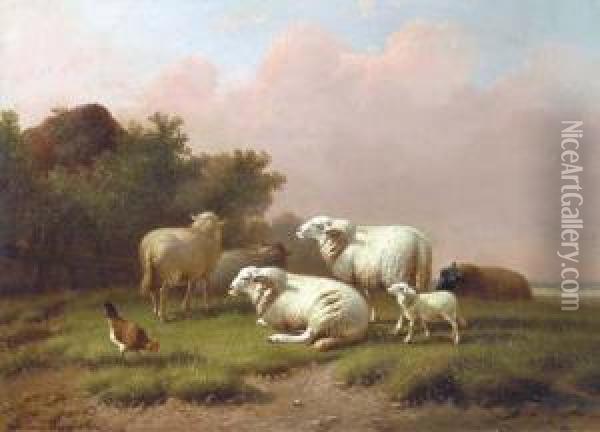 Sheep In A Meadow At Sunset Oil Painting - Joseph Van Dieghem