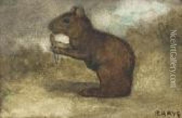 A Squirrel With Its Tail Curled About Its Feet Oil Painting - Antoine-louis Barye