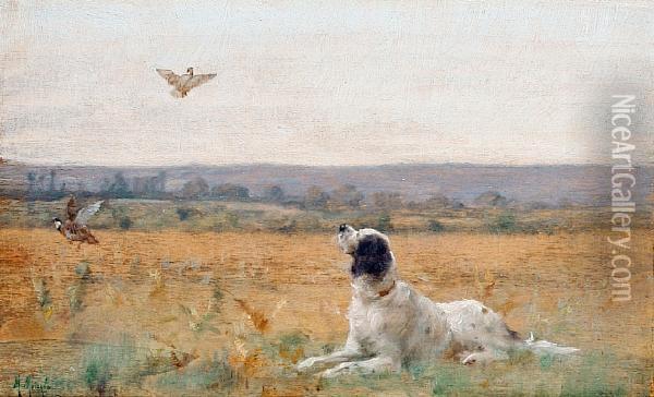 A Springer Spaniel In A Field With Partridges In Flight Oil Painting - Marcel Moisand