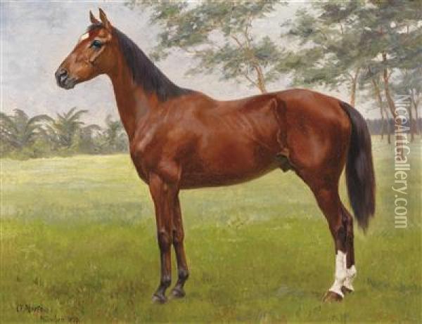 Proud Stallion Oil Painting - Oskar Merte
