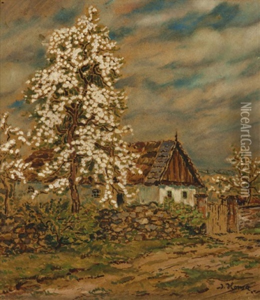 Bluhender Birnbaum Oil Painting - Jan Honsa