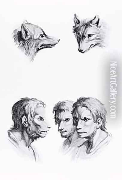 Similarities Between the Head of a Wolf and a Man Oil Painting - Charles Le Brun