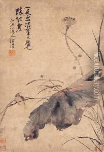 Bird By A Lotus Pond Oil Painting - Xu Wei