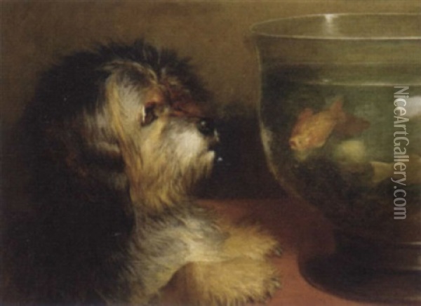 The Pet Goldfish Oil Painting - Thomas William Earl