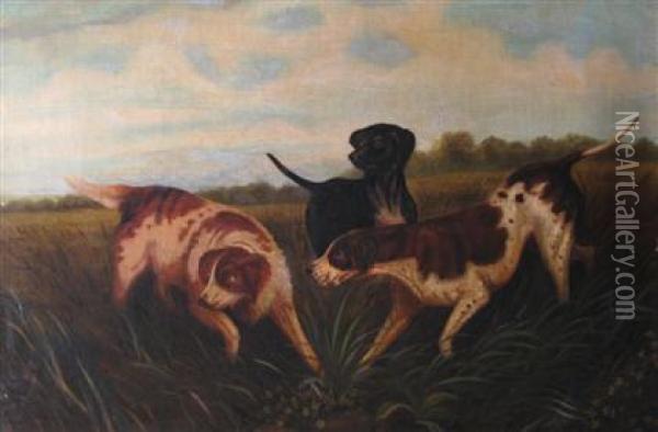 Three Hunting Dogs Oil Painting - Arthur Fitzwilliam Tait