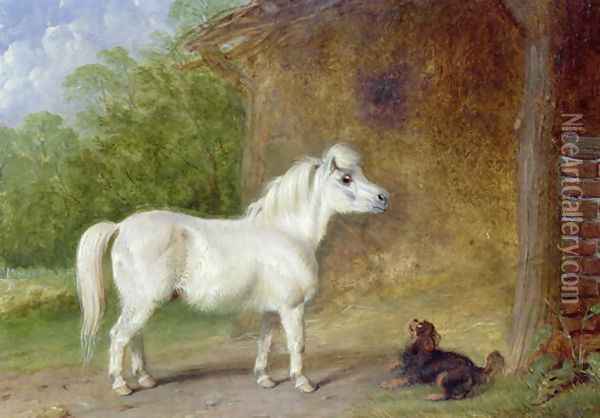 A Shetland pony and a King Charles spaniel Oil Painting - Martin Theodore Ward