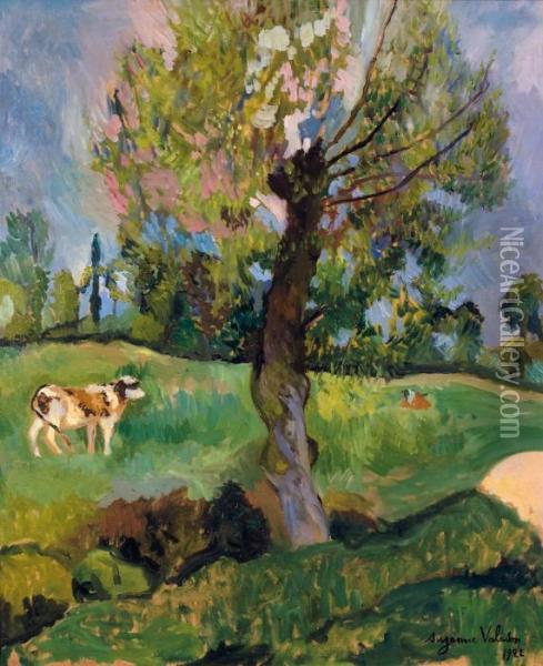 Larbre Dans La Prairie Oil Painting - Suzanne Valadon
