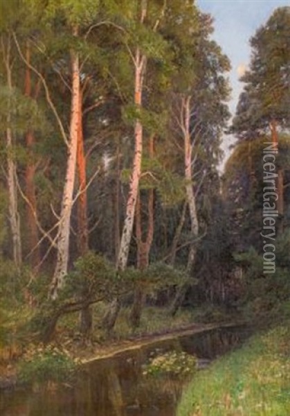 Birken Am Waldbach Oil Painting - Paul Koken