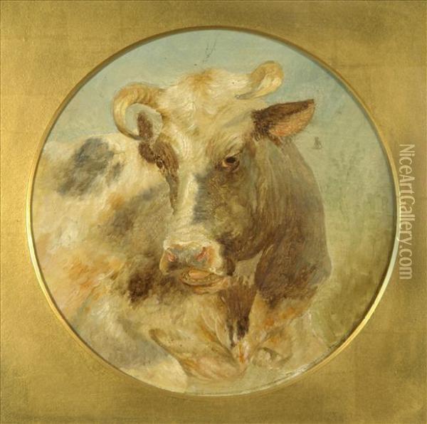 Head Study Of A Bull Oil Painting - William Huggins