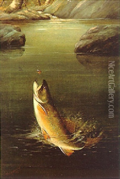 Jumping Trout Oil Painting - Harry Driscole