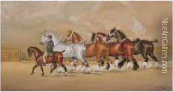 Shire Horses Oil Painting - Henry William Standing