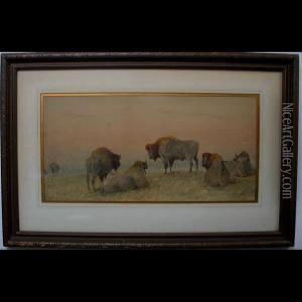 Buffalo At Rest Oil Painting - Frederick Arthur Verner