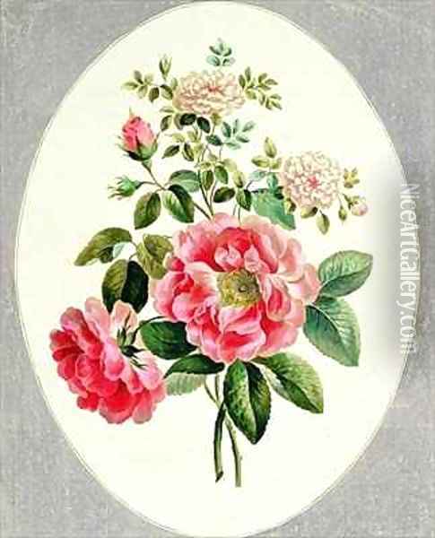Rose De Meux and Damask Rose Oil Painting - John Edwards