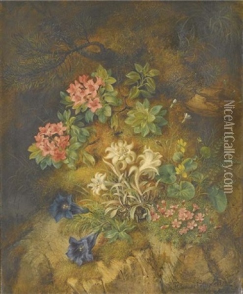 Edelweiss Et Autres Fleurs De Montagne Oil Painting - Theodor Petter