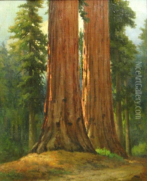 Giant Redwoods Oil Painting - Christian A. Jorgensen