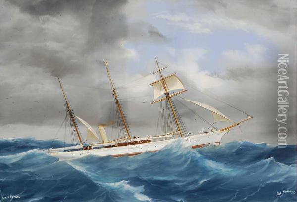 Ritrattodello Steam Yacht Fedora In Navigazione Oil Painting - Antonio de Simone