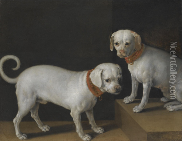 Two Dogs With Red Collars Oil Painting - Tiberio di Tito