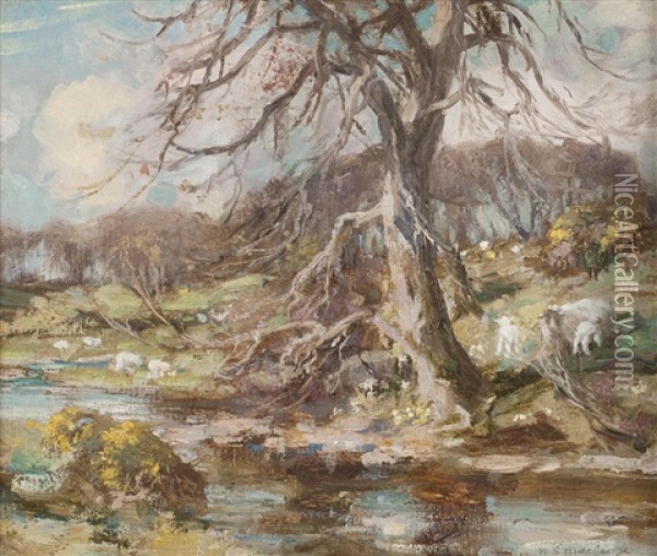 Springtime In Galloway, The Buckland Burn Oil Painting - William Stewart MacGeorge