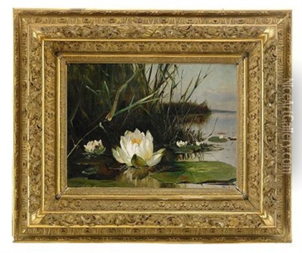 Waterlily Oil Painting - Yuliy Yulevich (Julius) Klever