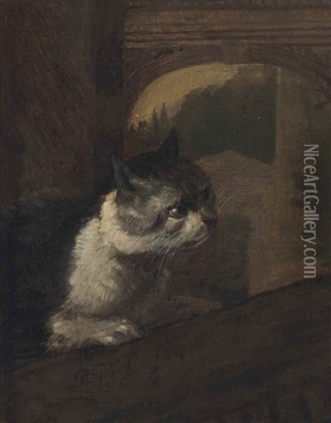 Cat In An Architectural Landscape Oil Painting - Adriaen de Gryef